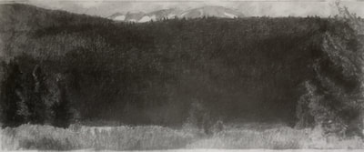 Tuolumne Meadows by Eric Whitten